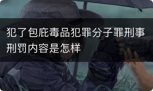 犯了包庇毒品犯罪分子罪刑事刑罚内容是怎样