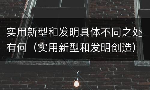 实用新型和发明具体不同之处有何（实用新型和发明创造）
