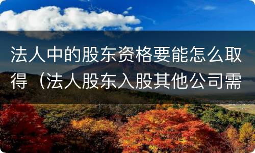 法人中的股东资格要能怎么取得（法人股东入股其他公司需要什么资料）