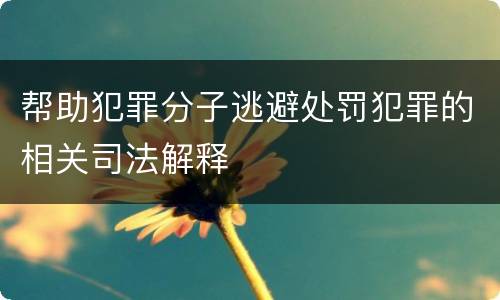 帮助犯罪分子逃避处罚犯罪的相关司法解释