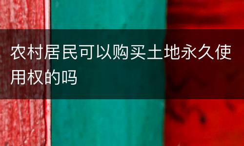 农村居民可以购买土地永久使用权的吗