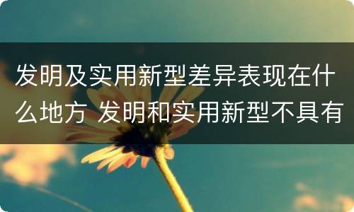 发明及实用新型差异表现在什么地方 发明和实用新型不具有什么特性