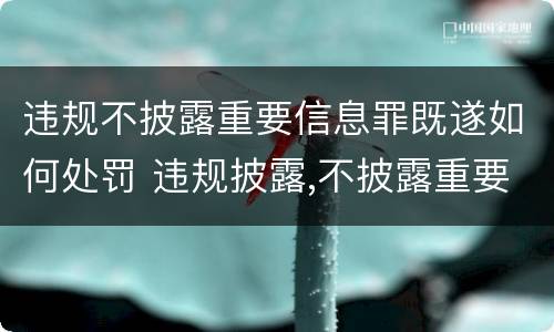 违规不披露重要信息罪既遂如何处罚 违规披露,不披露重要信息罪构成要件
