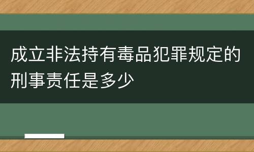 成立非法持有毒品犯罪规定的刑事责任是多少