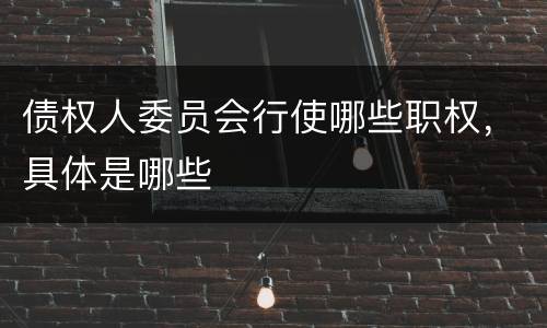 债权人委员会行使哪些职权，具体是哪些