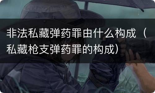 非法私藏弹药罪由什么构成（私藏枪支弹药罪的构成）