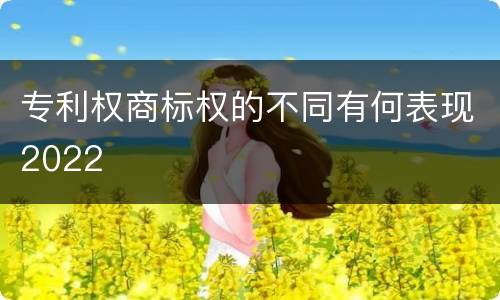 专利权商标权的不同有何表现2022