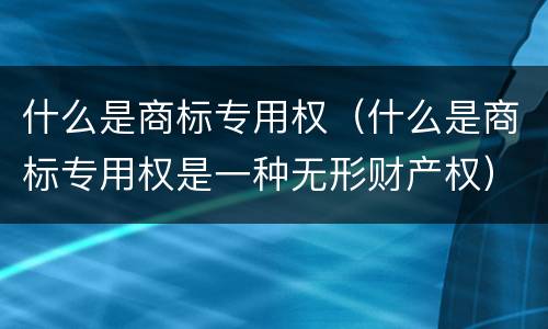 什么是商标专用权（什么是商标专用权是一种无形财产权）