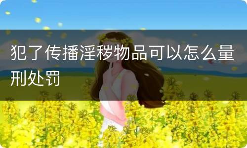 犯了传播淫秽物品可以怎么量刑处罚