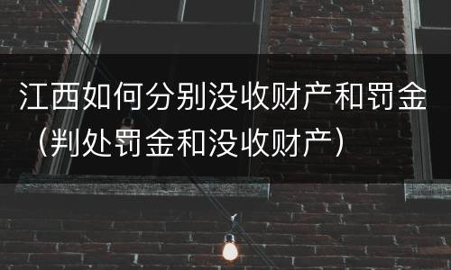 江西如何分别没收财产和罚金（判处罚金和没收财产）