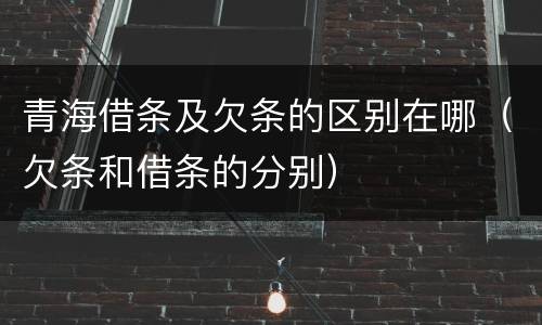 青海借条及欠条的区别在哪（欠条和借条的分别）