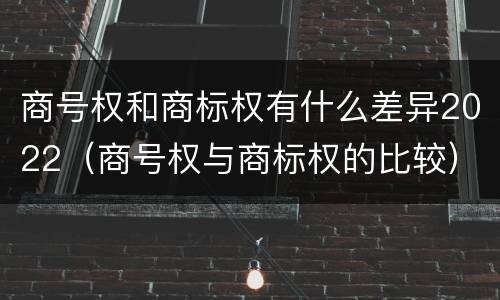 商号权和商标权有什么差异2022（商号权与商标权的比较）