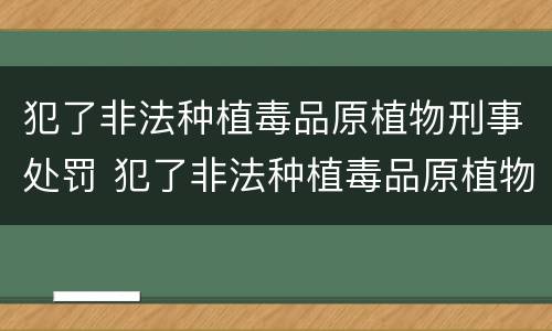 犯了非法种植毒品原植物刑事处罚 犯了非法种植毒品原植物刑事处罚案例
