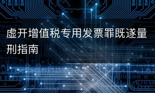 虚开增值税专用发票罪既遂量刑指南