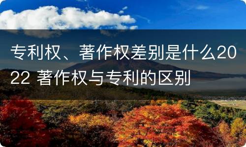 专利权、著作权差别是什么2022 著作权与专利的区别