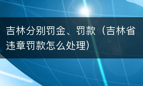吉林分别罚金、罚款（吉林省违章罚款怎么处理）