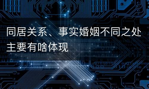 同居关系、事实婚姻不同之处主要有啥体现