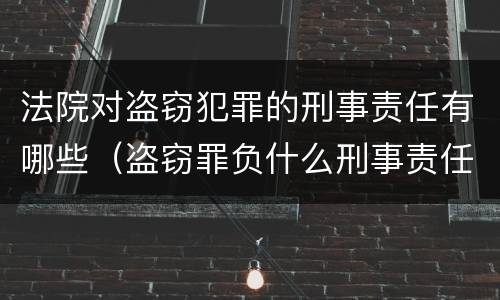 法院对盗窃犯罪的刑事责任有哪些（盗窃罪负什么刑事责任）