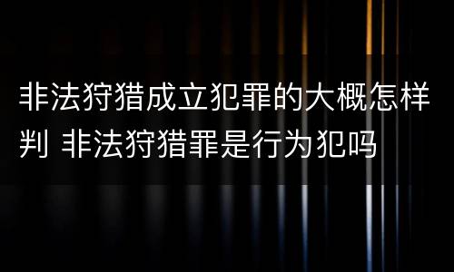 非法狩猎成立犯罪的大概怎样判 非法狩猎罪是行为犯吗