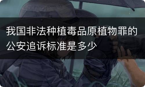 我国非法种植毒品原植物罪的公安追诉标准是多少