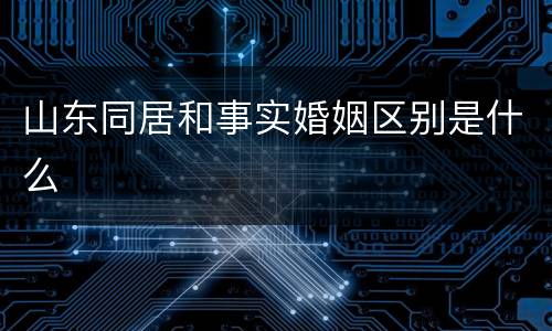 山东同居和事实婚姻区别是什么