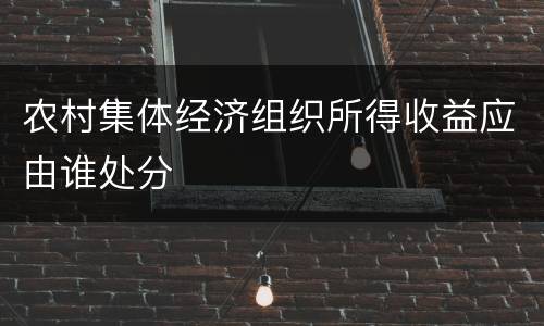 农村集体经济组织所得收益应由谁处分