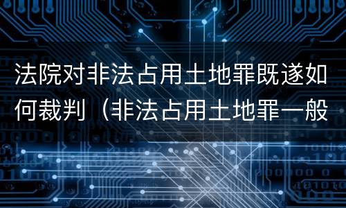 法院对非法占用土地罪既遂如何裁判（非法占用土地罪一般怎么判决）