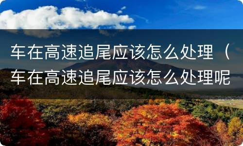 车在高速追尾应该怎么处理（车在高速追尾应该怎么处理呢）