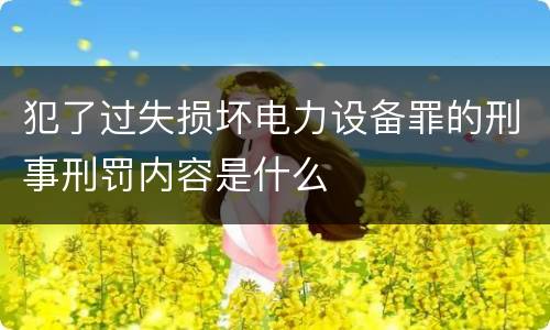 犯了过失损坏电力设备罪的刑事刑罚内容是什么