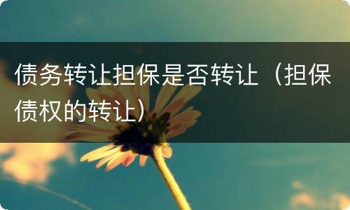 债务转让担保是否转让（担保债权的转让）