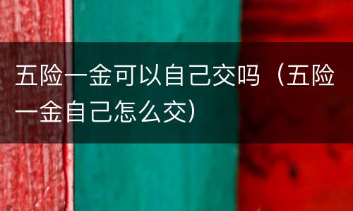 五险一金可以自己交吗（五险一金自己怎么交）