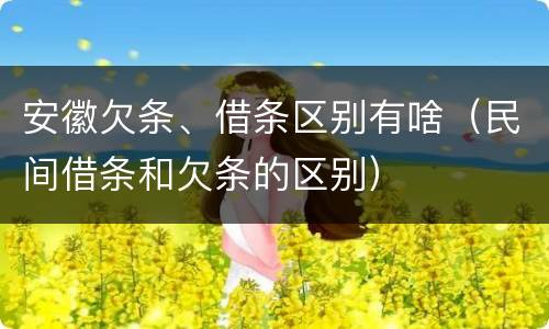 安徽欠条、借条区别有啥（民间借条和欠条的区别）