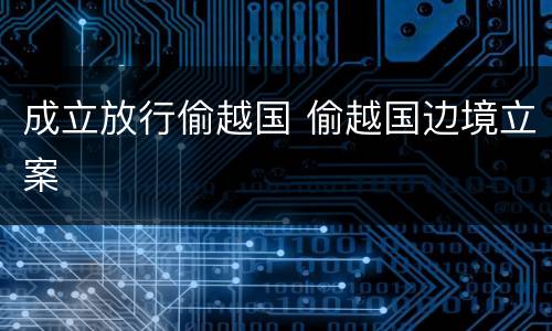 成立放行偷越国 偷越国边境立案