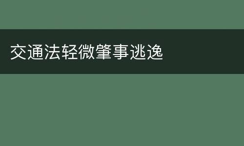 交通法轻微肇事逃逸