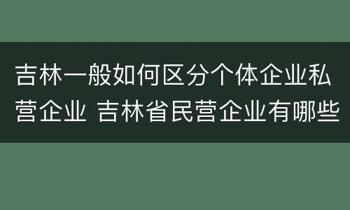 吉林一般如何区分个体企业私营企业 吉林省民营企业有哪些