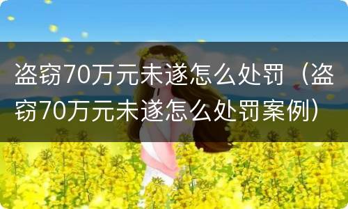 盗窃70万元未遂怎么处罚（盗窃70万元未遂怎么处罚案例）