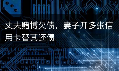 丈夫赌博欠债，妻子开多张信用卡替其还债