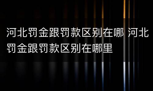 河北罚金跟罚款区别在哪 河北罚金跟罚款区别在哪里