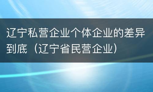 辽宁私营企业个体企业的差异到底（辽宁省民营企业）