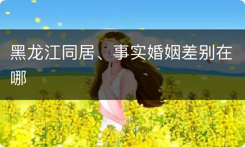 黑龙江同居、事实婚姻差别在哪