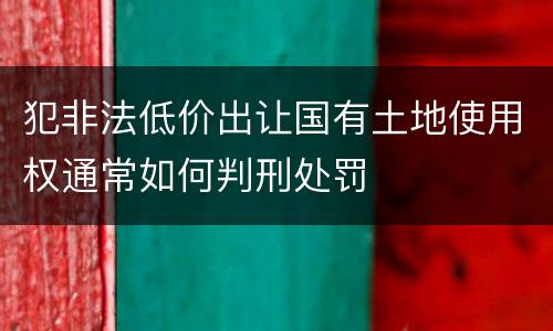 犯非法低价出让国有土地使用权通常如何判刑处罚