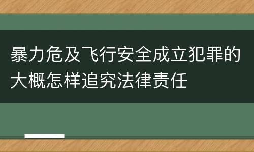 暴力危及飞行安全成立犯罪的大概怎样追究法律责任