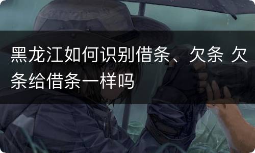 黑龙江如何识别借条、欠条 欠条给借条一样吗
