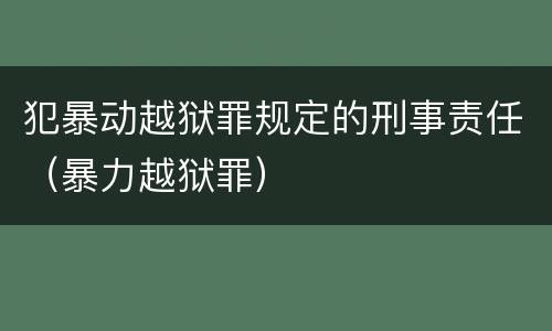 犯暴动越狱罪规定的刑事责任（暴力越狱罪）
