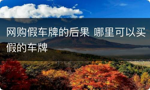 网购假车牌的后果 哪里可以买假的车牌