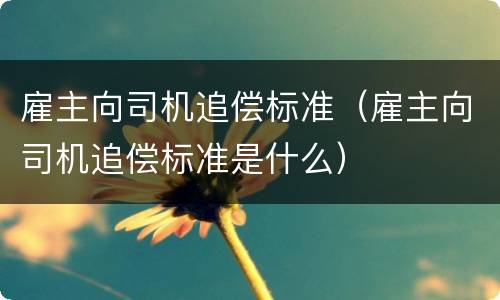 雇主向司机追偿标准（雇主向司机追偿标准是什么）