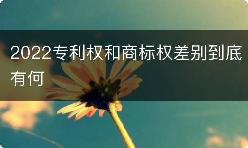 2022专利权和商标权差别到底有何