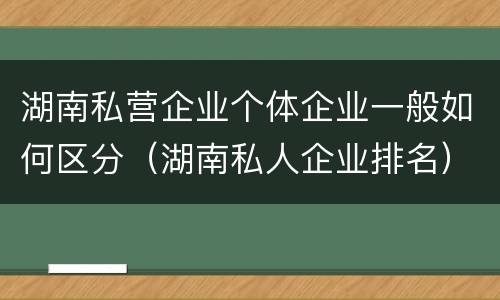 湖南私营企业个体企业一般如何区分（湖南私人企业排名）