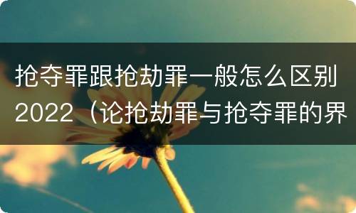 抢夺罪跟抢劫罪一般怎么区别2022（论抢劫罪与抢夺罪的界限）