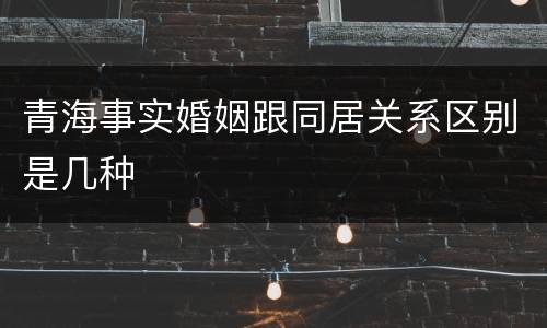 青海事实婚姻跟同居关系区别是几种